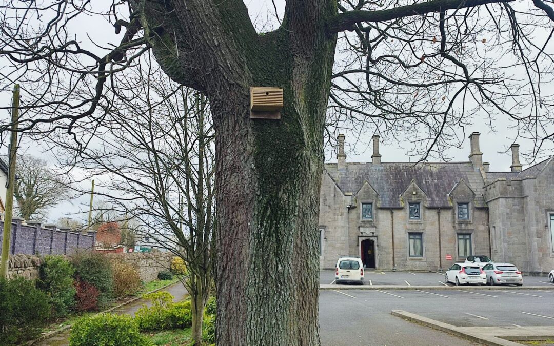 Trim Tidy Towns donates two bird boxes to the Green Schools Committee!