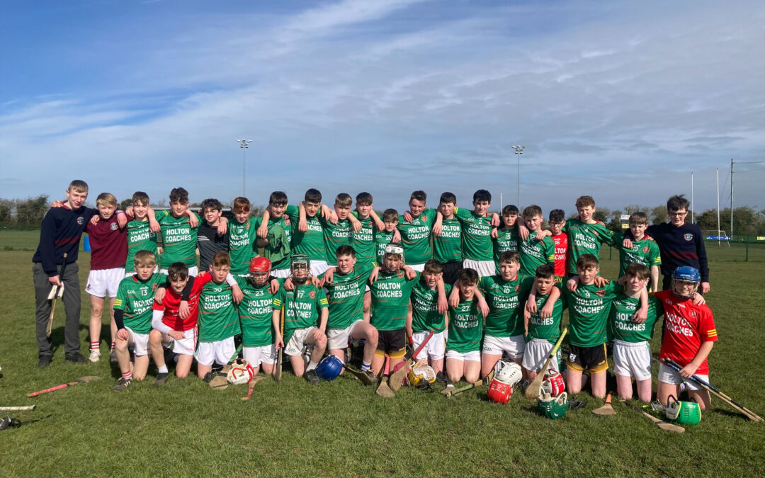 First Year Hurling