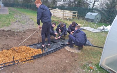 TY Students Complete Hard Landscape Pathway Project