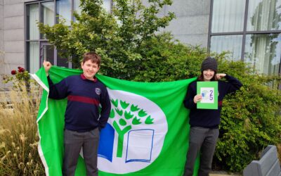 Boyne CS wins its very first Green Flag!