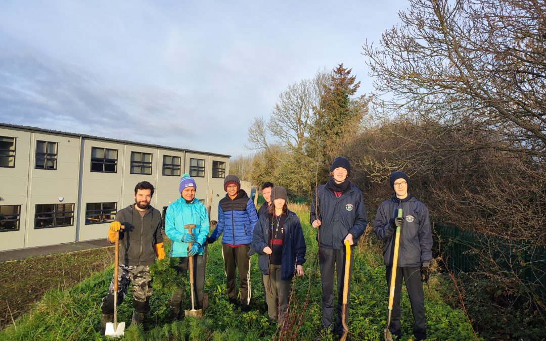 Green Schools Volunteers Plant 325 Native Trees for Biodiversity Boost