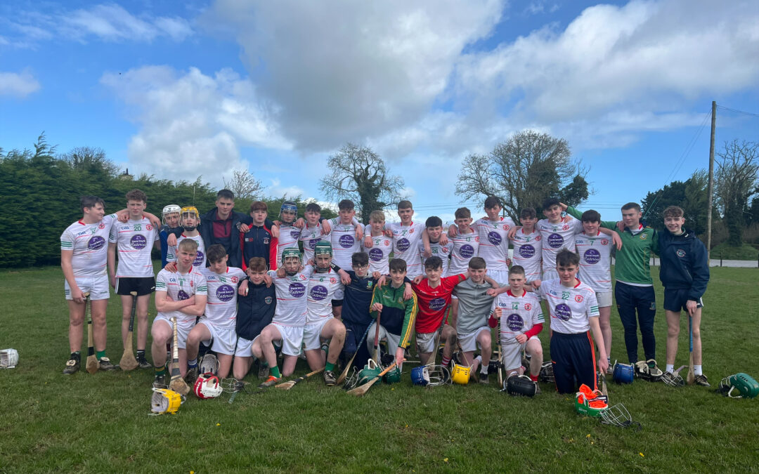 Second-Year Hurlers Win North East Semifinal